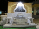 IMG_3352.jpg