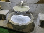 IMG_3356.jpg