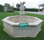 golfinhos.jpg