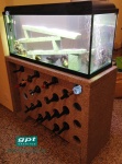 garrafeira-aquario.jpg
